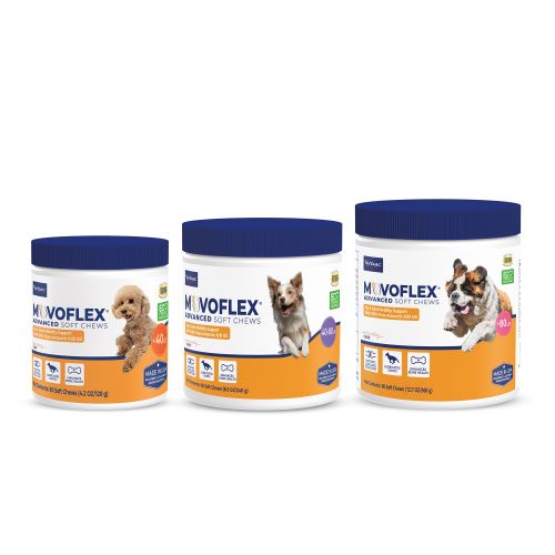 Movoflex Advanced Soft Chews